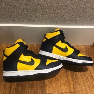RARE Nike Sb Dunk High Michigan